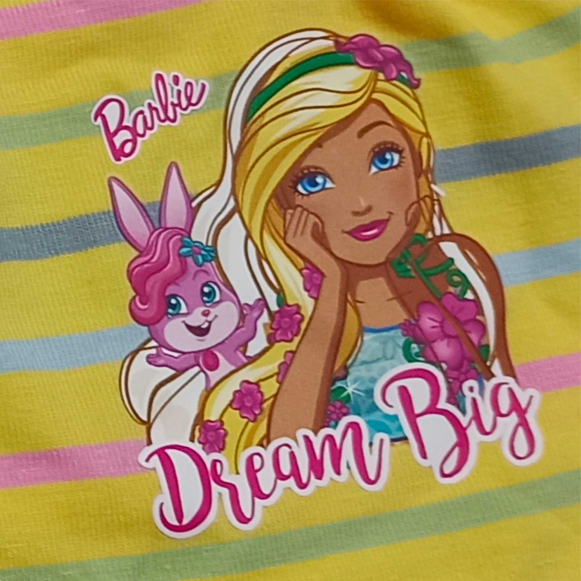 Red Rose Girls' Cotton Briefs Pack of 6 – Barbie Printed Striped Innerwear | BABY-134