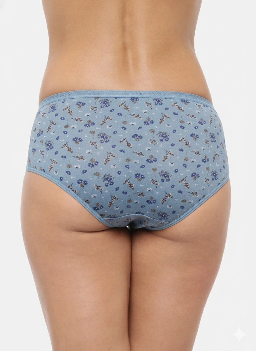 CHARU– Full Coverage Hipster Panties – Pack of 3 (Multicolor)