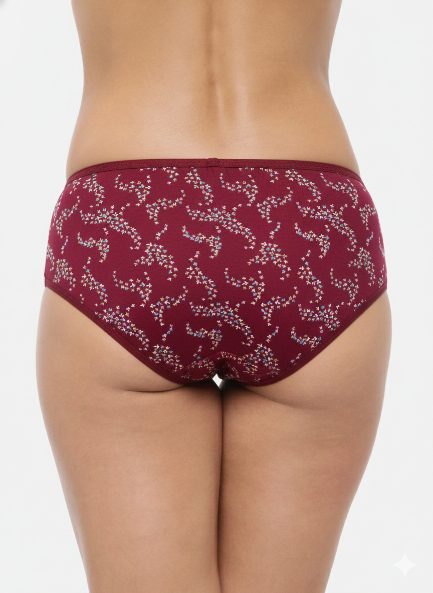 JASLEEN – Full Coverage Hipster Panties – Pack of 3 (Multicolor)