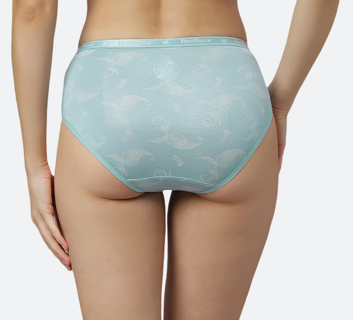 Women’s Hipster Panties – Soft Breathable Cotton Spandex Fabric – Regular Brief Underwear – Comfort Fit – Assorted Colors – Pack of 3 - I TOUCH-219