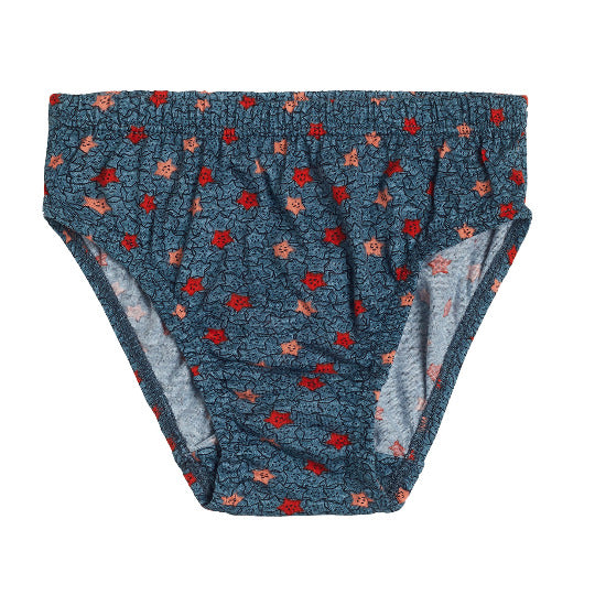 Red Rose Girls' Cotton Printed Panties – Pack of 6 | BABY-66