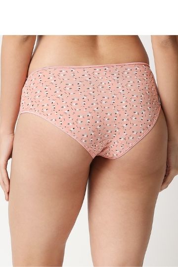 Red Rose Assorted mid Rise Cotton Comfort Regular Hipster Panties Pack (Set of 5)