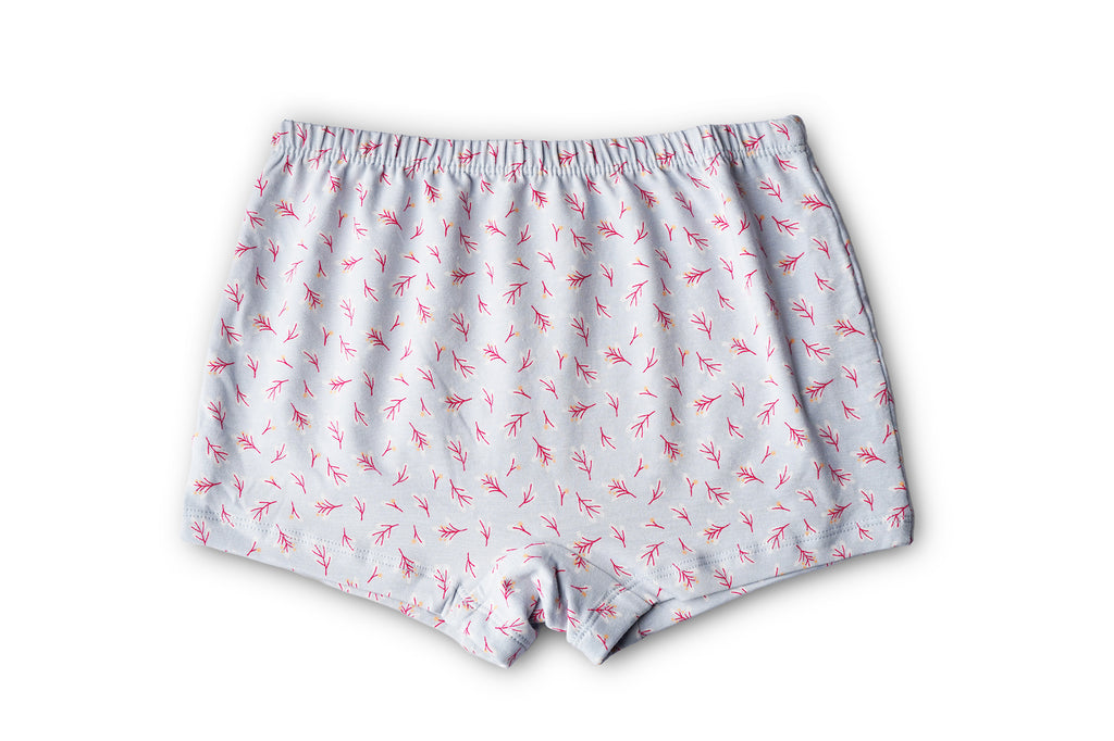 BABY 97 |RED ROSE Girls Cotton Panty | Soft & Breathable Briefs with Comfortable Waistband | Innerwear for Kids Girls | Pack of 6