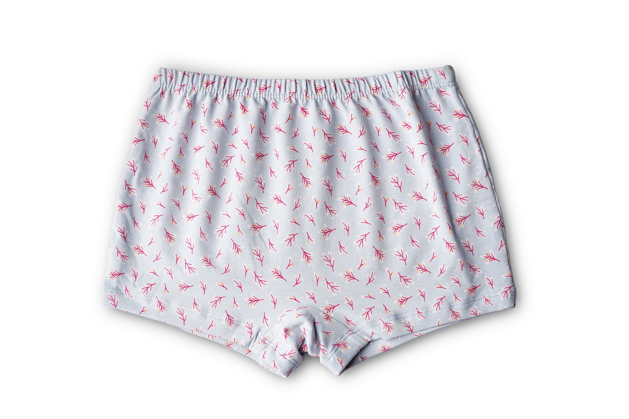 BABY 97 |RED ROSE Girls Cotton Panty | Soft & Breathable Briefs with Comfortable Waistband | Innerwear for Kids Girls | Pack of 6