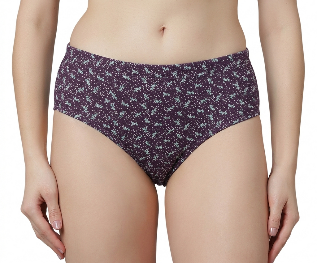 R.R-600 High Rise Plus Size Hipster Panties – Pack of 3