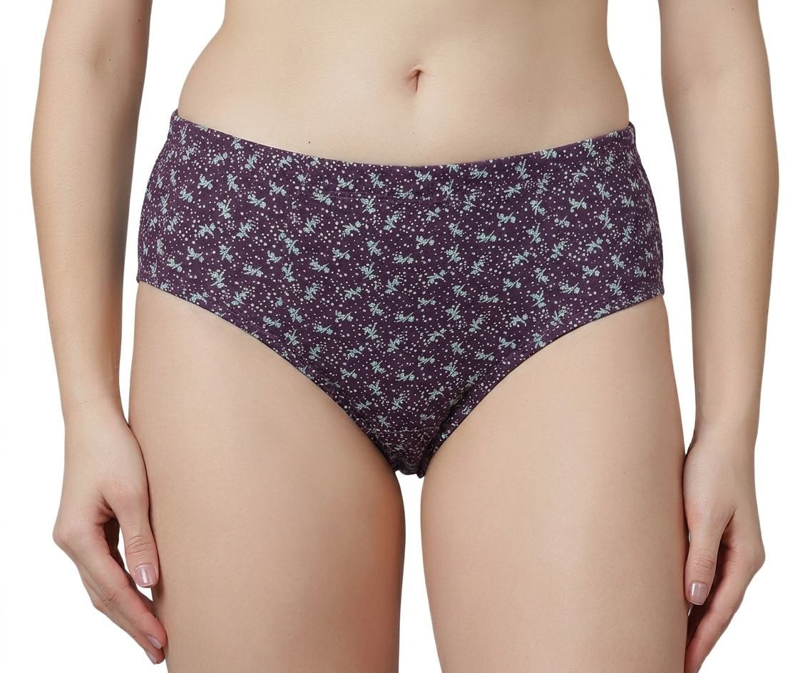 R.R-600 High Rise Plus Size Hipster Panties – Pack of 3