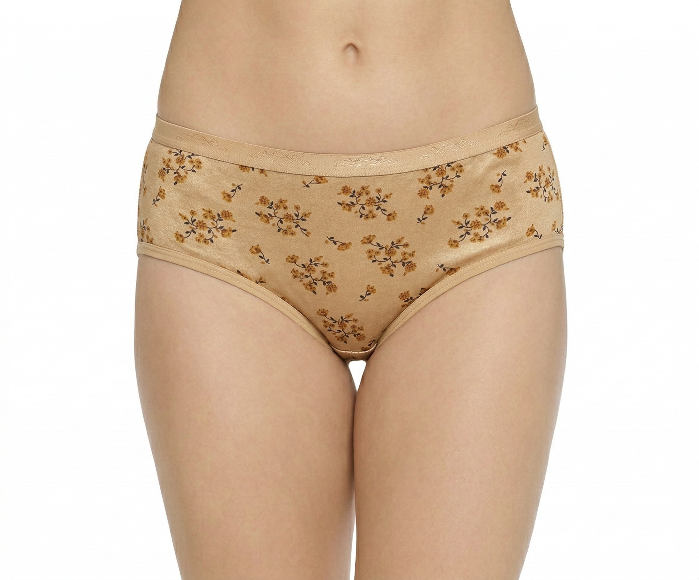 AACHAL High Rise Plus Size Hipster Panties – Pack of 3