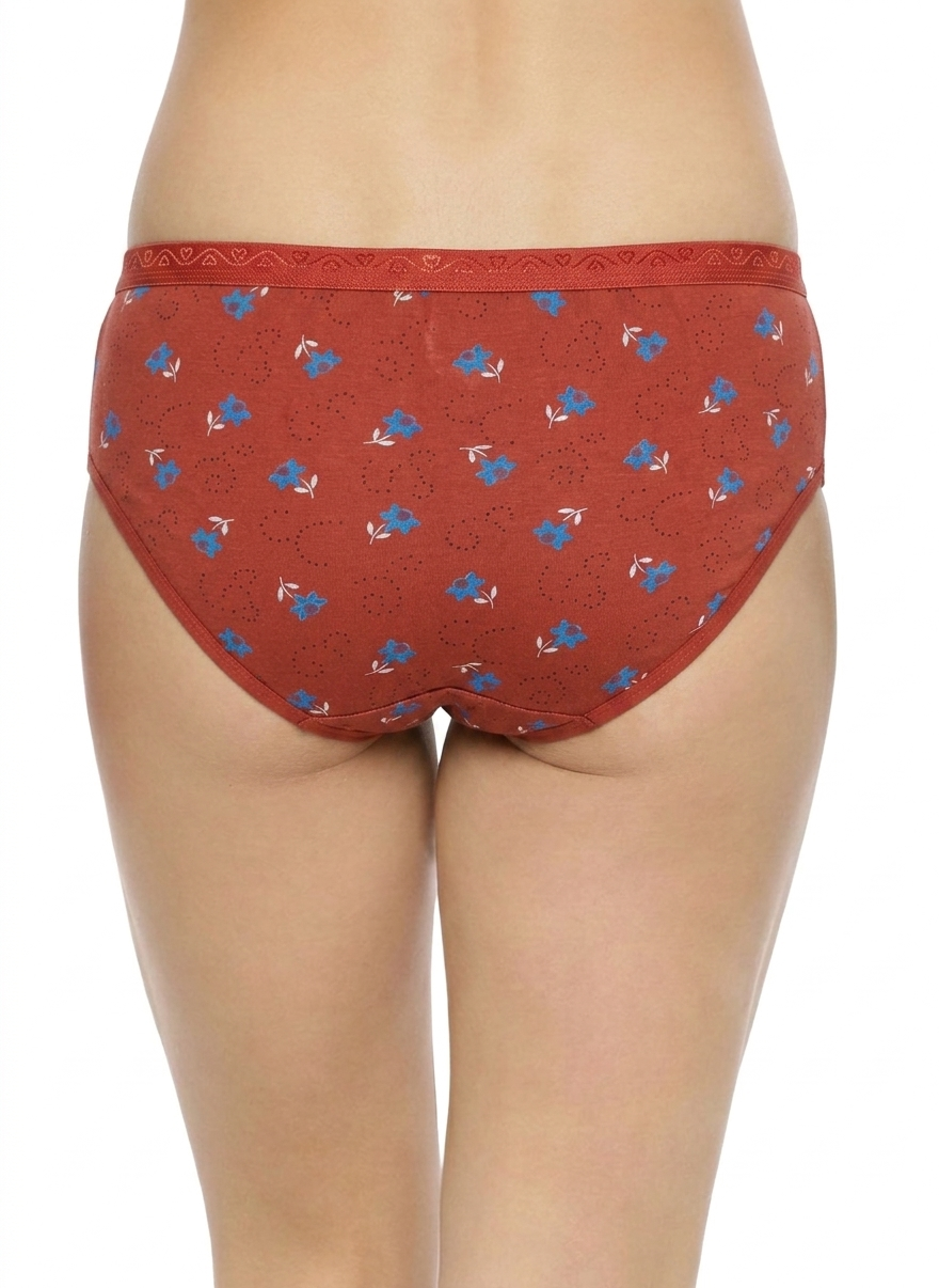 HIGH RISE PLUS SIZE Hipster Panties – Pack of 3