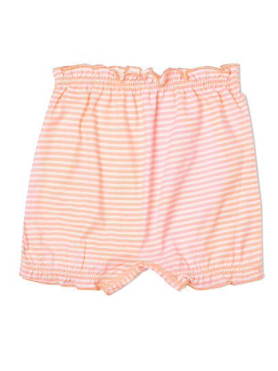 Redrose Girls Striped Cotton Bloomers – Pack of 6 | Soft, Colorful & Comfy Everyday Wear 👧 | BLM-231