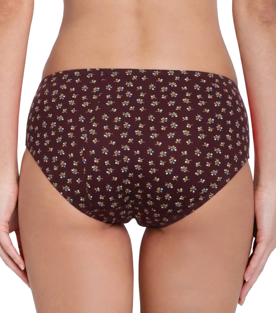 ANIKA– Full Coverage Mid-Rise Hipster Panties  – Pack of 3 (Multicolor)