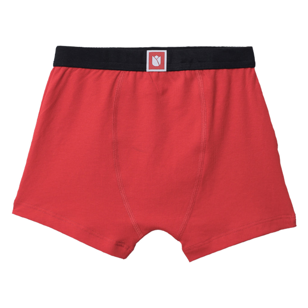 JR-542 | Kids Printed Cotton Briefs | Soft & Comfortable Innerwear for Boys | Multicolor Pack 6