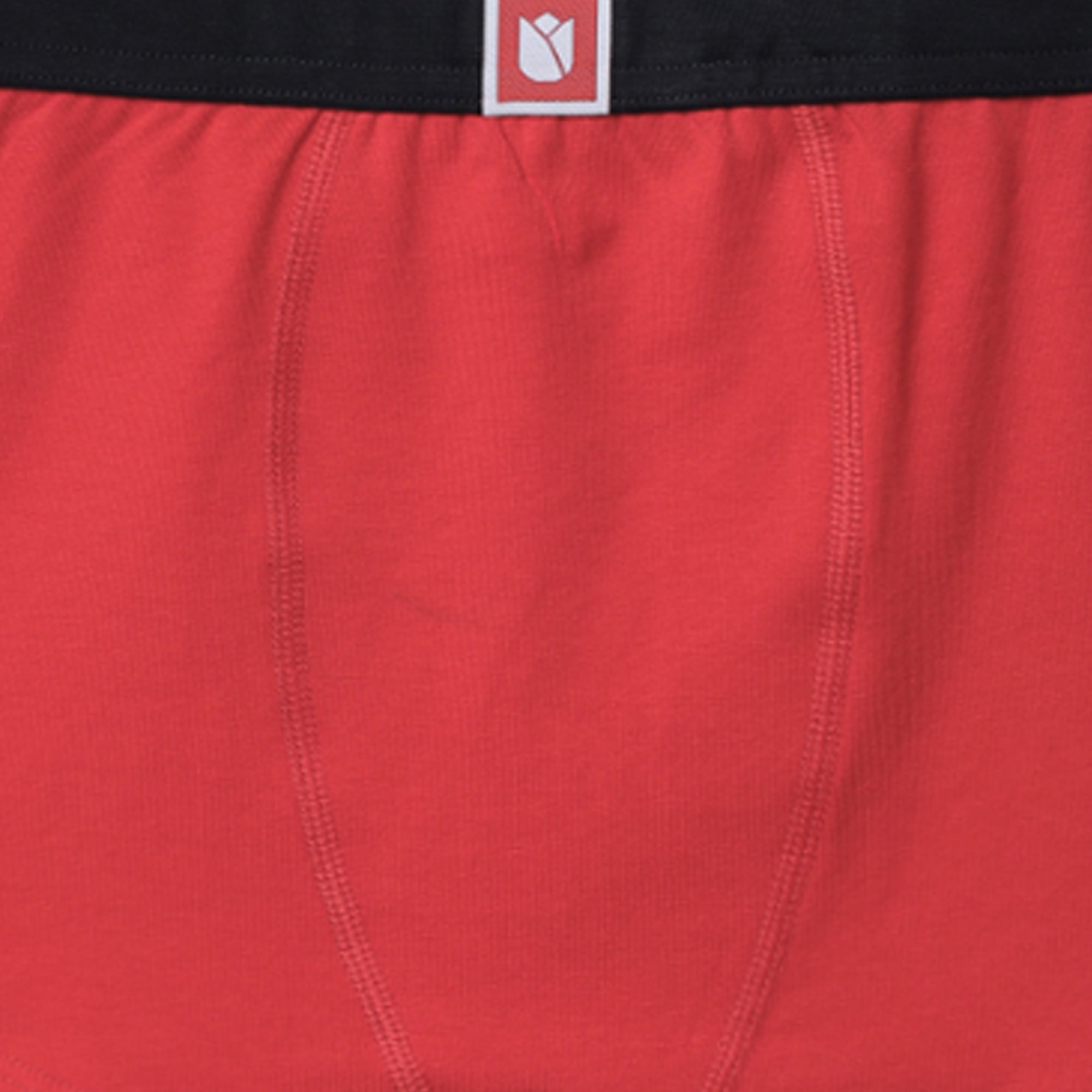 JR-542 | Kids Printed Cotton Briefs | Soft & Comfortable Innerwear for Boys | Multicolor Pack 6