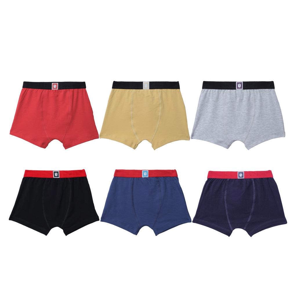 JR-542 | Kids Printed Cotton Briefs | Soft & Comfortable Innerwear for Boys | Multicolor Pack 6