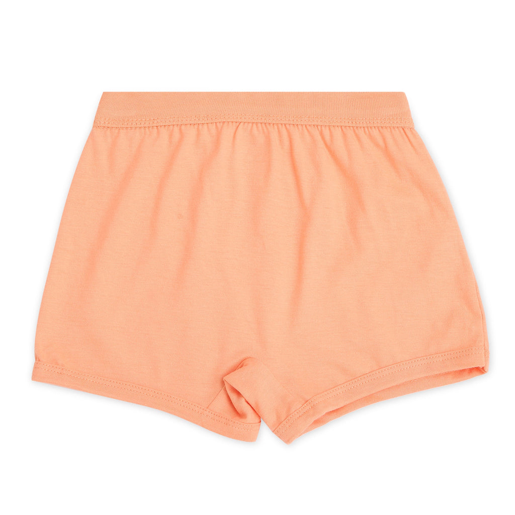 Girls' Unicorn Print Boxer Shorts – Pack of 6 | Cotton Comfort Innerwear by Redrose | BABY-125