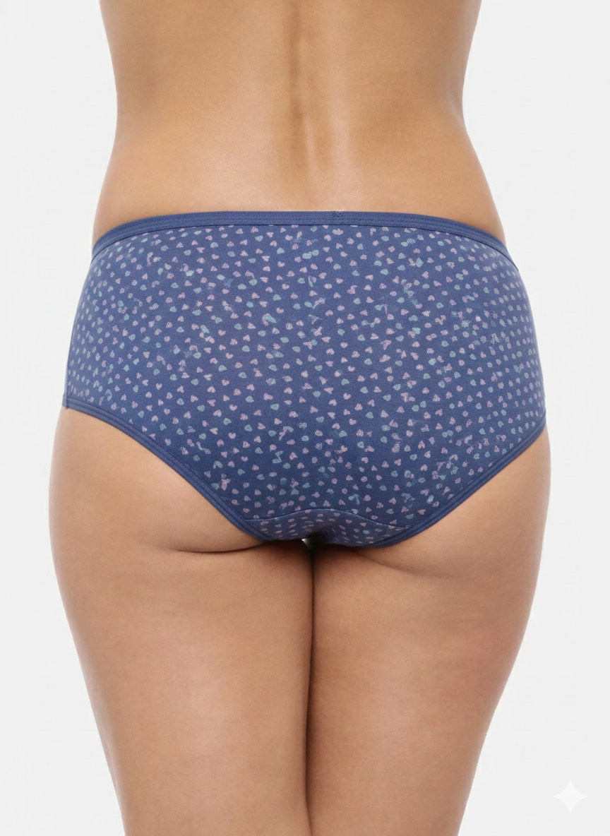 CHARU– Full Coverage Hipster Panties  – Pack of 3 (Multicolor)