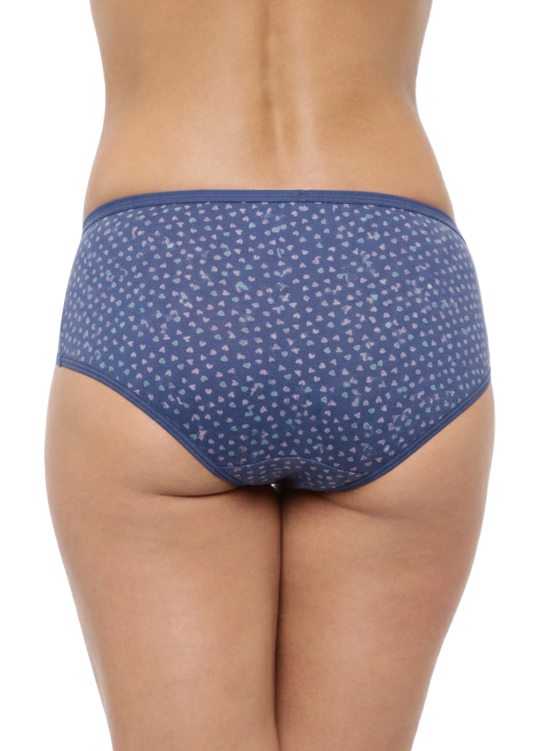 Cotton Midrise Hipster Panties – Pack of 3