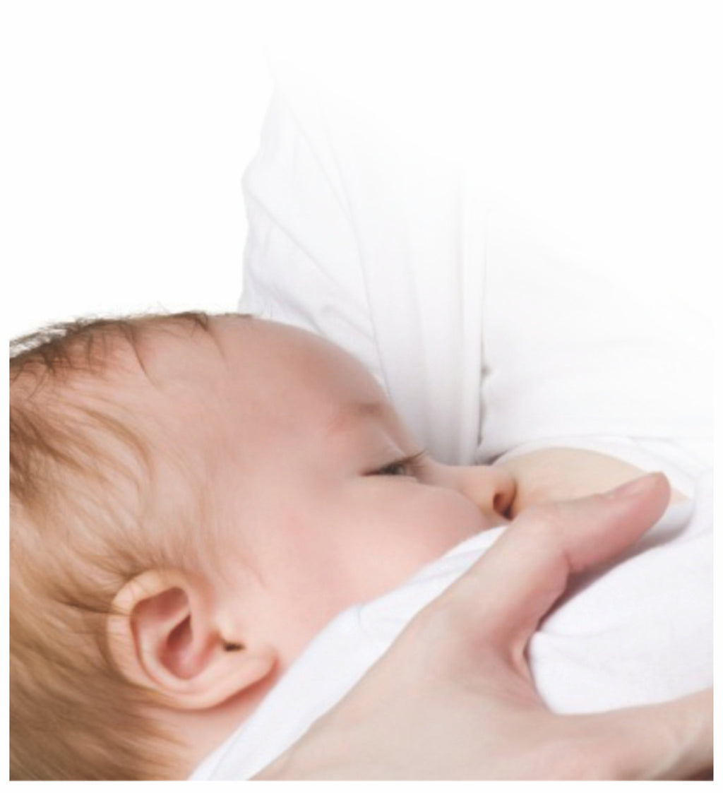 FEEDING PADS ( Pack of 4)