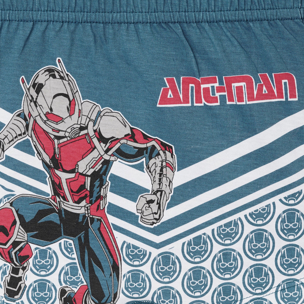 RedRose Marvel Heroes Boys Boxer Shorts – Pack of 6 (Ant-Man, Hulk, Iron Man & More) | JR-524