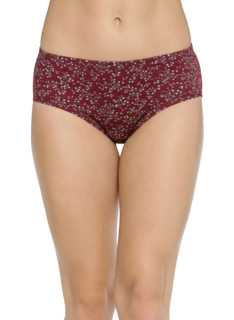 MISHKA – Full Coverage Mid-Rise Hipster Panties  – Pack of 3 (Multicolor)