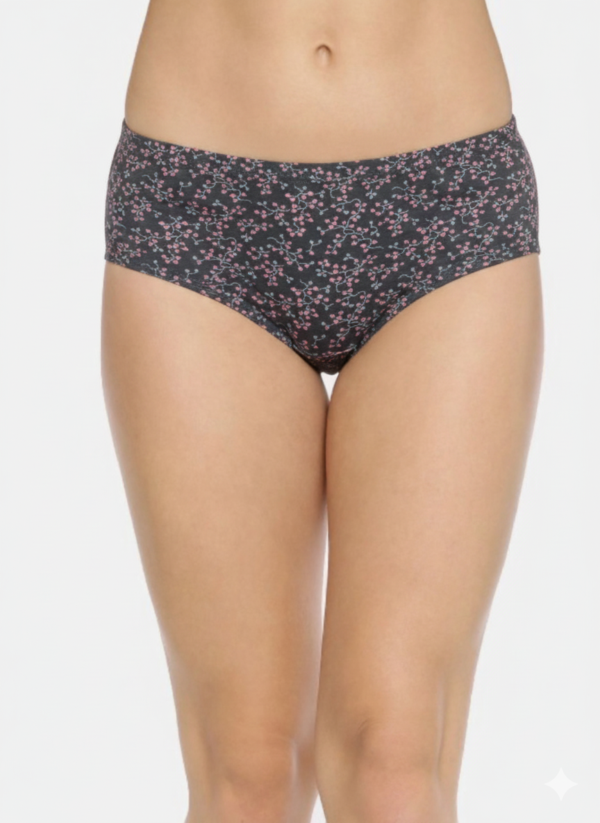 MISHKA – Full Coverage Mid-Rise Hipster Panties  – Pack of 3 (Multicolor)