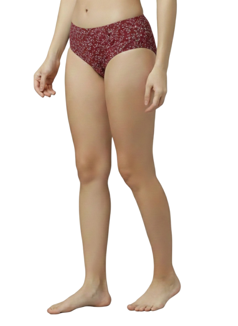 MISHKA – Full Coverage Mid-Rise Hipster Panties  – Pack of 3 (Multicolor)