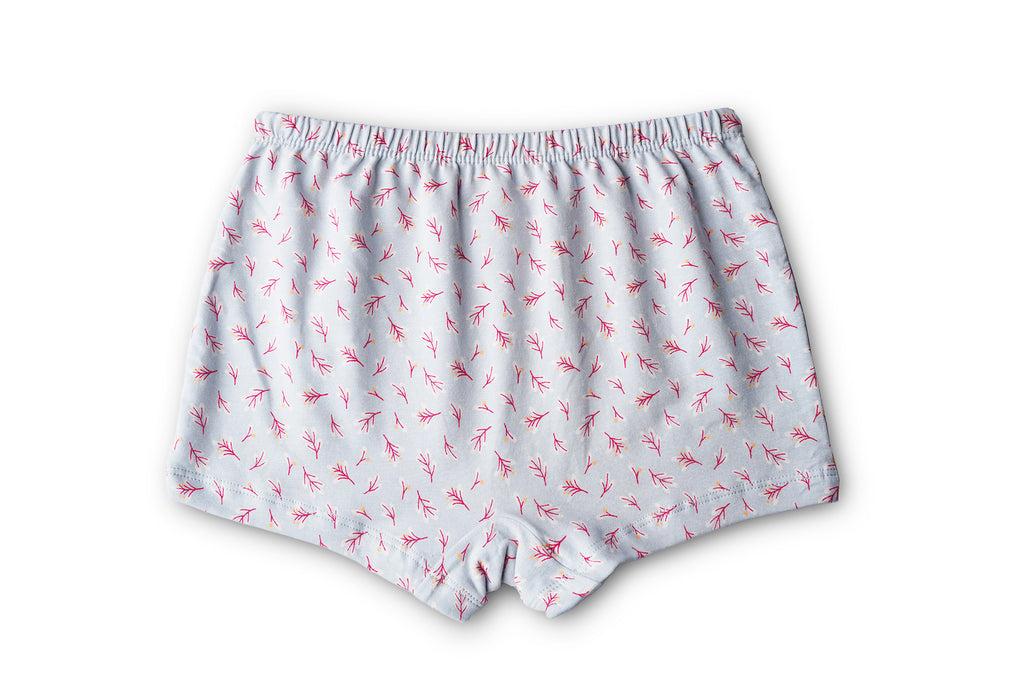 BABY 97 |RED ROSE Girls Cotton Panty | Soft & Breathable Briefs with Comfortable Waistband | Innerwear for Kids Girls | Pack of 6