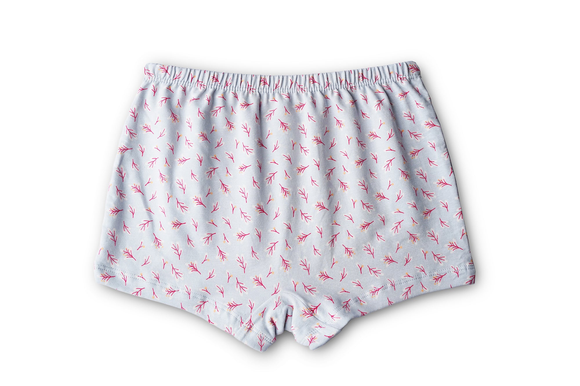 BABY 97 |RED ROSE Girls Cotton Panty | Soft & Breathable Briefs with Comfortable Waistband | Innerwear for Kids Girls | Pack of 6